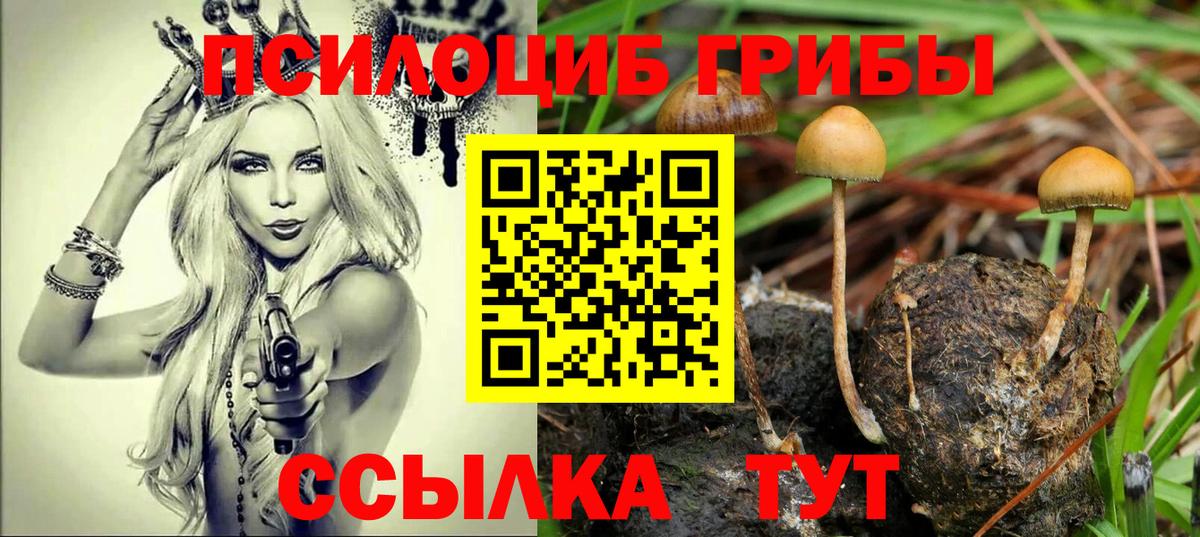 Галлюциногенные грибы Magic Shrooms Ялуторовск