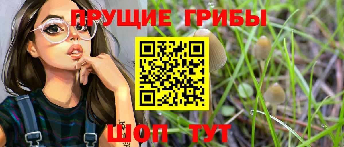 Ялуторовск  Галлюциногенные грибы ЛСД  Вход с VPN 